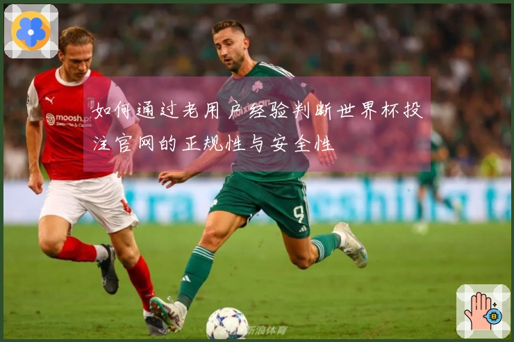 如何通过老用户经验判断世界杯投注官网的正规性与安全性