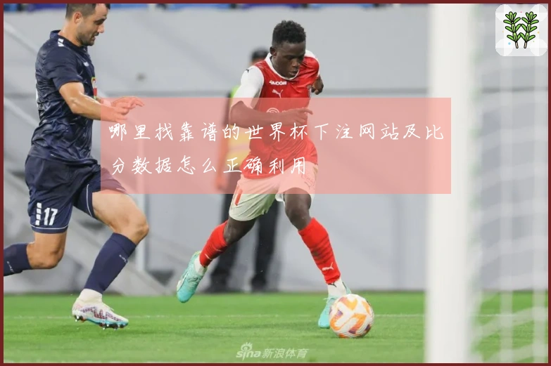 哪里找靠谱的世界杯下注网站及比分数据怎么正确利用